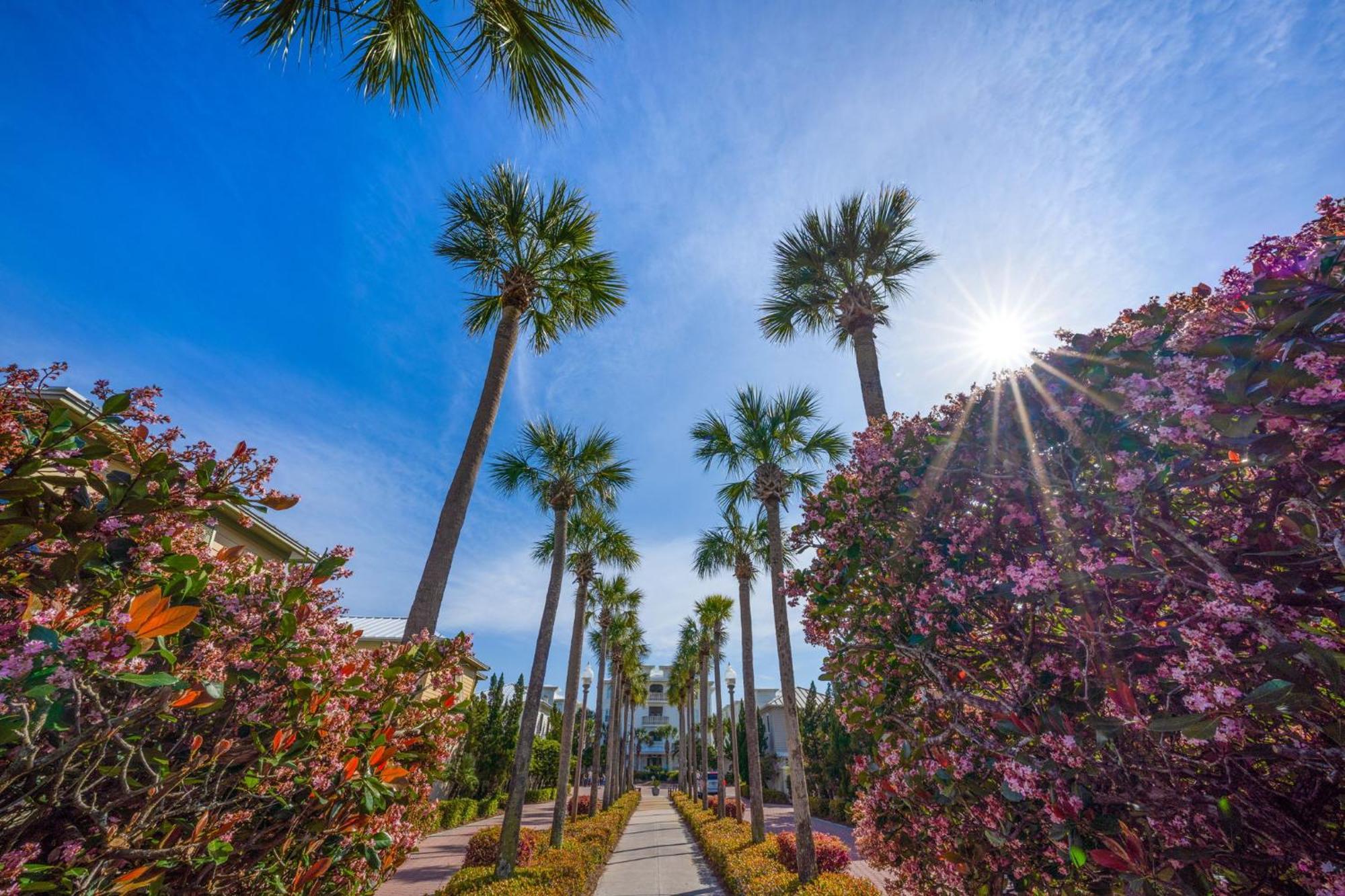 The Fun Orange Home In A Great Location With Bonus Game Room Rosemary Beach Eksteriør bilde